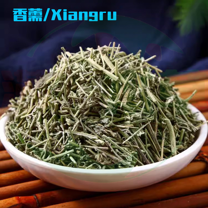 香薷/Xiangru
