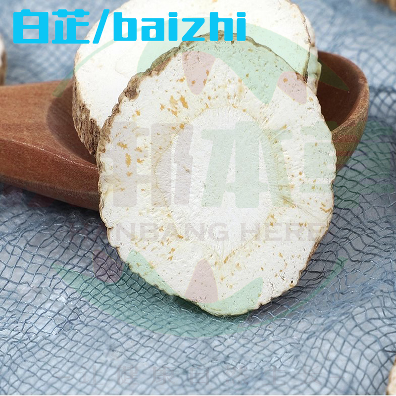 白芷/baizhi